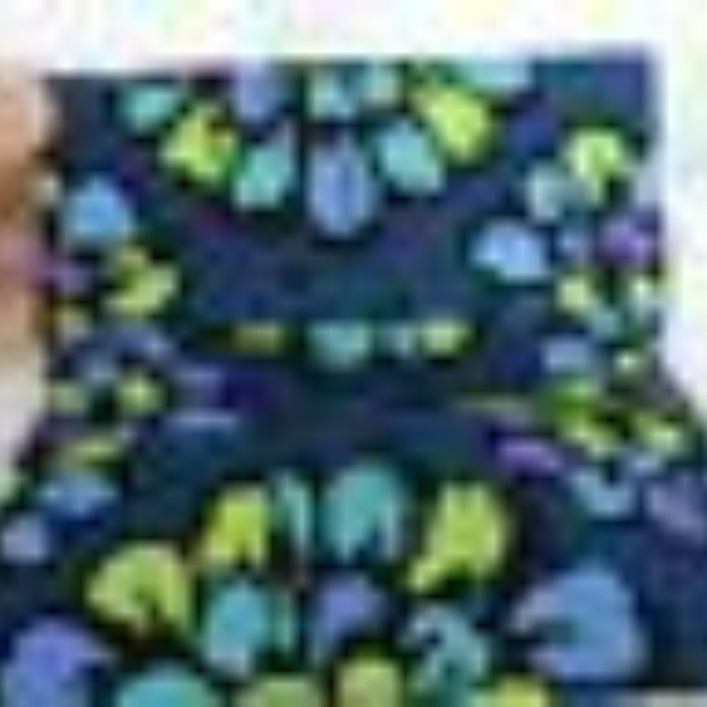 Vera Bradley checkbook cover in Indigo Pop